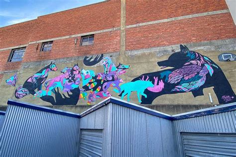 Dunedin Street Art | Josie Wanders