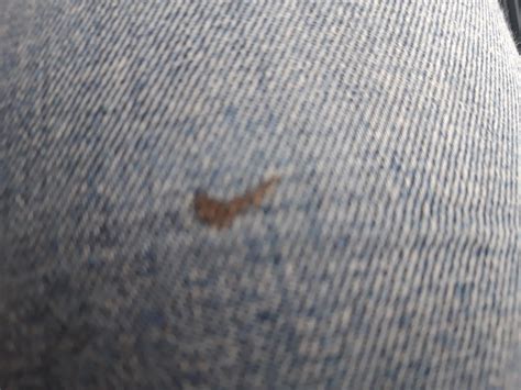 Stain on my pants is shaped like the Nike symbol : r/mildlyinteresting