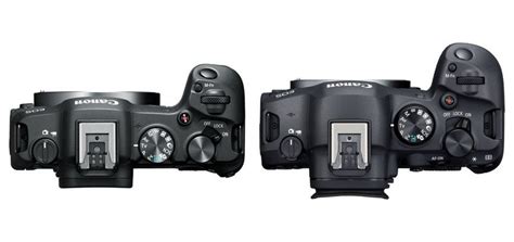 Canon Eos R8 Vs Canon Eos R6 Specs Shop | smarys.org