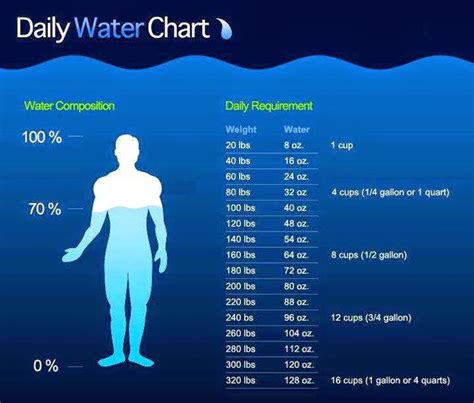 CHODAVARAMNET: DAILY WATER CHART - WATER REQUIREMENT FOR HUMAN BODY ...