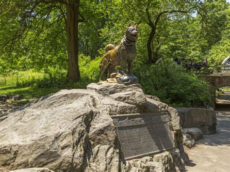 Balto Statue | Central Park Conservancy