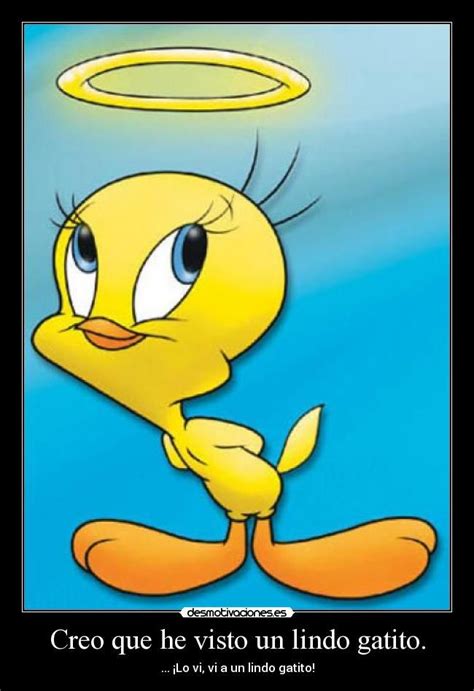 Imagenes de Piolin Tweety con Frases para bajar ⭐【 DESCARGAR IMAGENES 2024 ** | Tweety, Looney ...