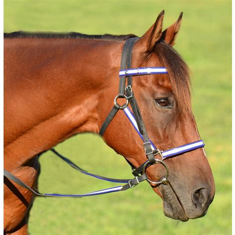 Horse Halter Bitless Bridle For Sale at Two Horse Tack