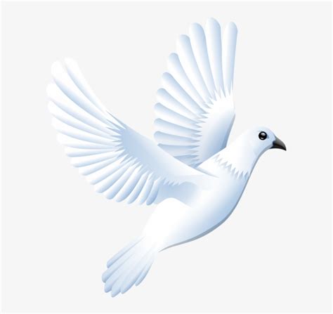 Free White Dove Cliparts, Download Free White Dove Cliparts png images, Free ClipArts on Clipart ...