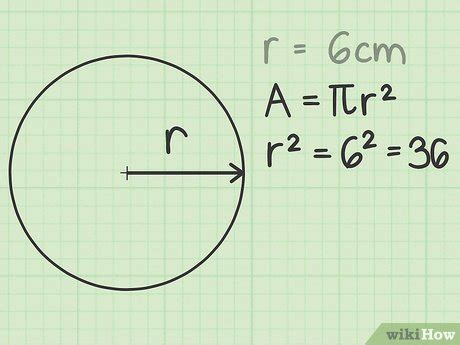 Area Of A Circle Calculator - astonishingceiyrs