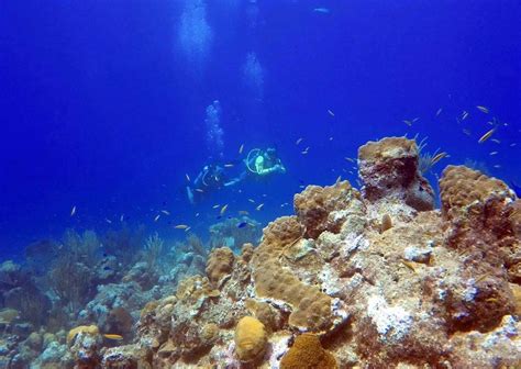 Turks and Caicos Scuba Diving - Blue Heron Vacations