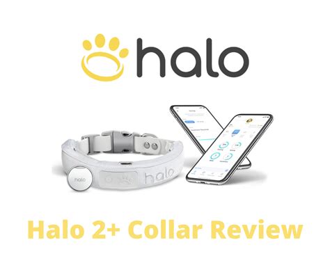 Halo 2+ Dog Collar GPS Wireless Fence Review | Ask The Experts ...