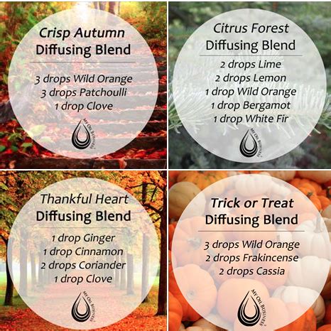 Autumn essential oil Diffuser Blends | Healing essential oils, Fall essential oils, Diy ...