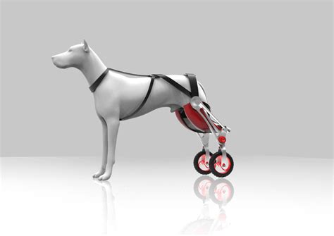 Zbrush, Diy Dog Wheelchair, Bionico, Curved Desk, Disabled Dog, Bedroom Decor Cozy, Marvel Thor ...