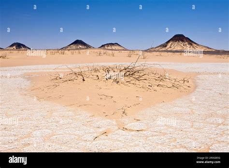 Desert near Bahariya Oasis, Egypt, Libyan Desert Stock Photo - Alamy