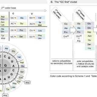 A. The genetic code table (adopted and slightly modified from Ref. [15,... | Download Scientific ...