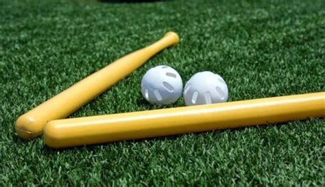 Top Notch Wiffle Ball Bat Review Guide For This Year - Report Outdoors