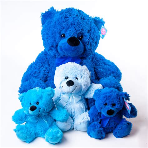 Teddies Various Colors & Sizes - Flowers R Us