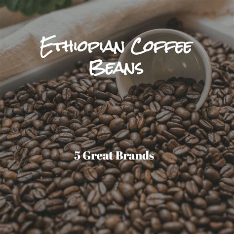 Ethiopian Coffee Beans – 5 Things to Know