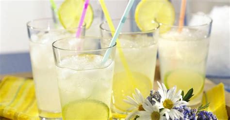 10 Best Cocktail Recipes with Vodka and Soda Water