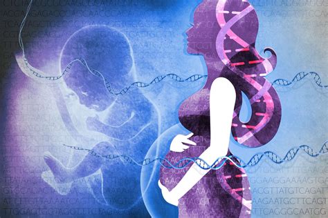 Drawing a line for human gene editing: A Stanford researcher weighs in - Scope