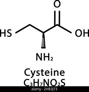 L'acide aminé cystéine. Formule moléculaire chimique acide cystéine aminé. Illustration ...