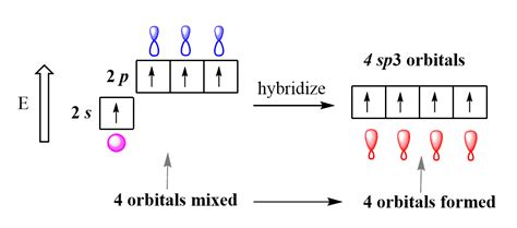 Hybridization Diagram