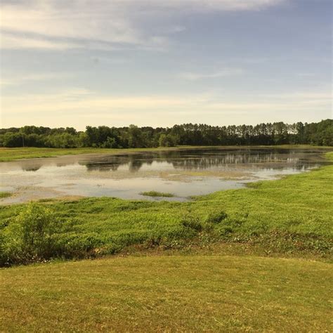 Photos at Wheeler National Wildlife Refuge - Decatur, AL