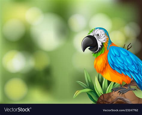 Colorful parrot background scene Royalty Free Vector Image