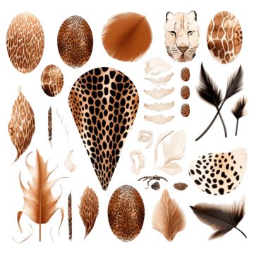 Animal Skin Sublimation Clipart Png, Animal, Skin, Background PNG Transparent Image and Clipart ...