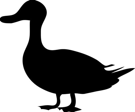 Download Duck, Silhouette, Black. Royalty-Free Vector Graphic - Pixabay