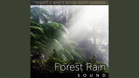 Forest Rain Sound - YouTube