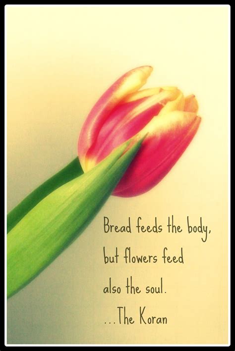 Quotes About Tulips. QuotesGram