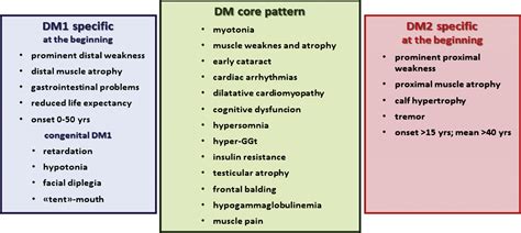 Myotonic Dystrophy Type Ii : Antisense Oligonucleotides As A Potential Treatment For Brain ...