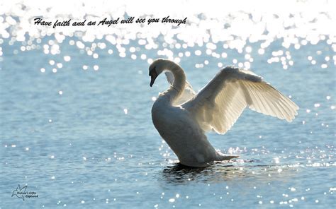 Swan Lake Quotes. QuotesGram