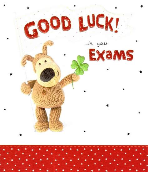 Boofle Good Luck In Your Exams Greeting Card | Exam cards, Boofle, Best ...