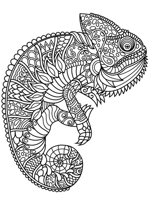 Animal Abstract Coloring Pages at GetDrawings | Free download