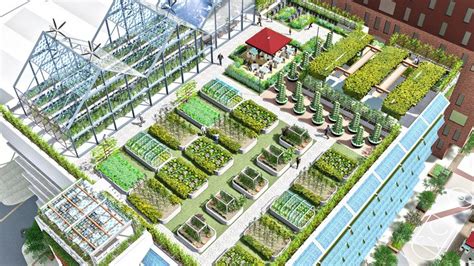 How to do urban farming? – agrimate.org