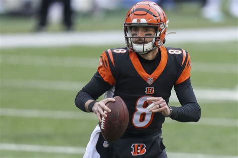 Is Brandon Allen the Bengals’ backup QB of the future? - Cincy Jungle