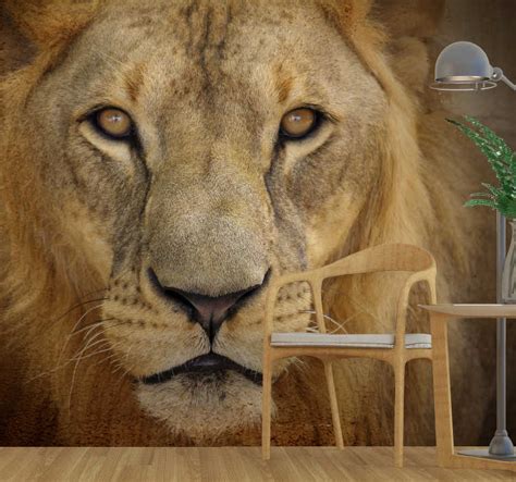 Wild lion Dining Room Wall Mural - TenStickers