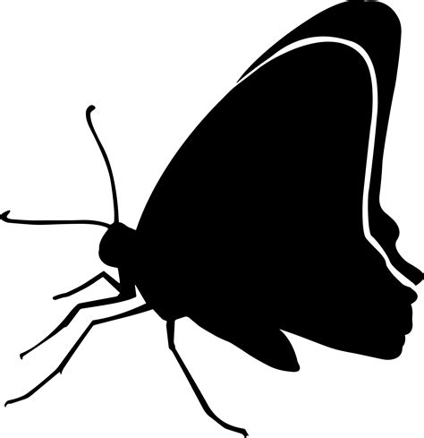 Butterfly Silhouette Graphic by aparnastjp - Creative Fabrica