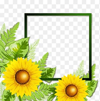 Sunflower Border Png