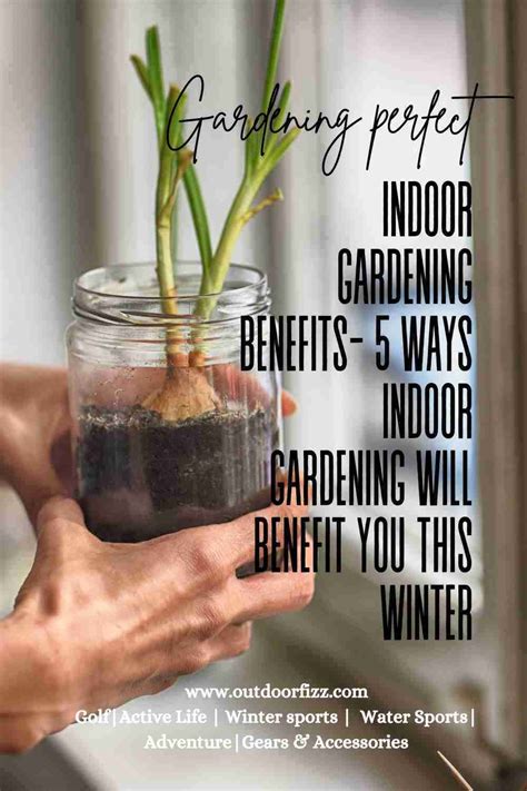 Top 5 Indoor Gardening Benefits You Can Get In This Winter