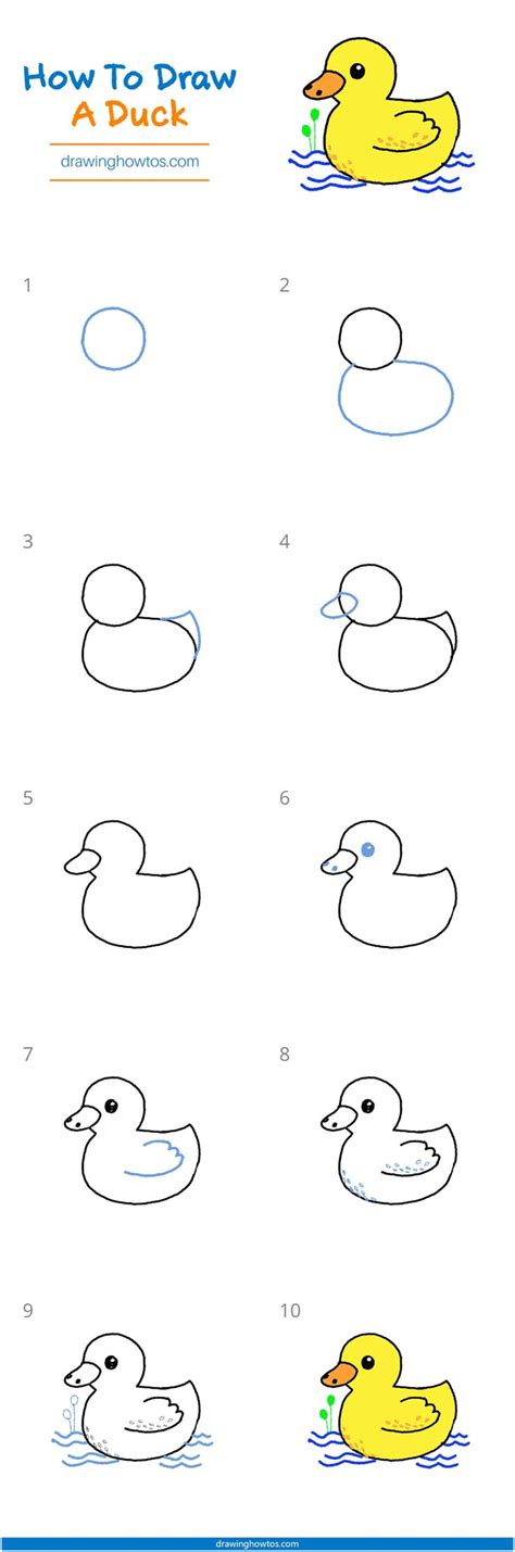 How to Draw a Duck - Step by Step Easy Drawing Guides - Drawing Howtos ...