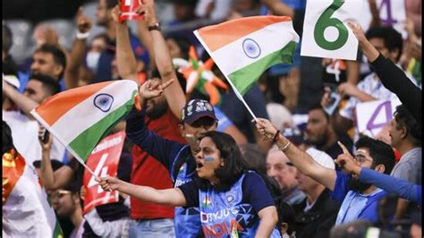 Random Forays: The 11 types of cricket fans - Hindustan Times