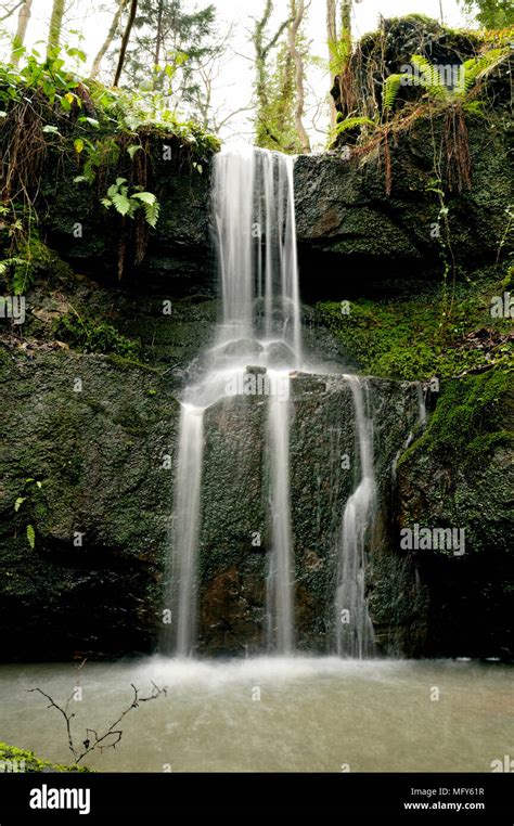 A Woodland waterfall Stock Photo - Alamy