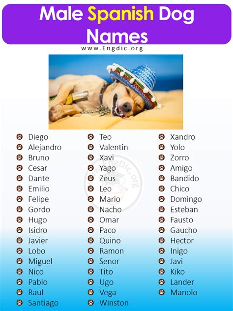 200+ Most Popular Spanish Dog Names (Male, Female) - EngDic