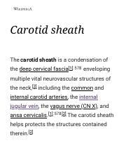 Understanding the Carotid Sheath: Structure, Contents, and | Course Hero