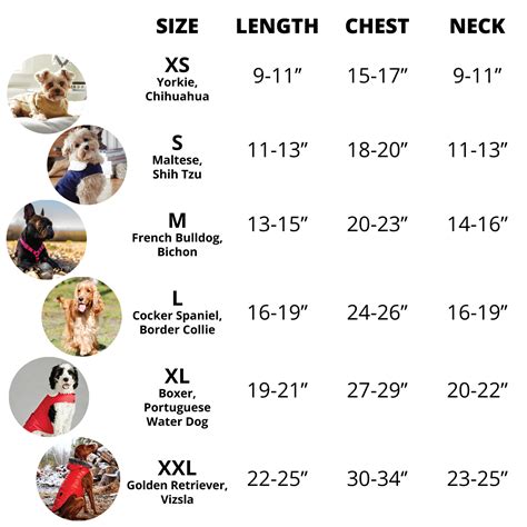 2023 Clothing Size Chart Fillable Printable Pdf Forms - vrogue.co
