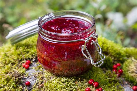 Scandinavian Lingonberry Jam - Skovkær