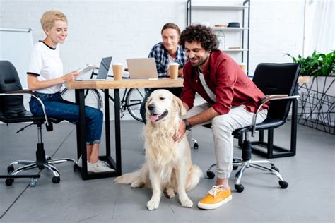 The dog-friendly office: fool-proof tips 🐶 Off The Leash