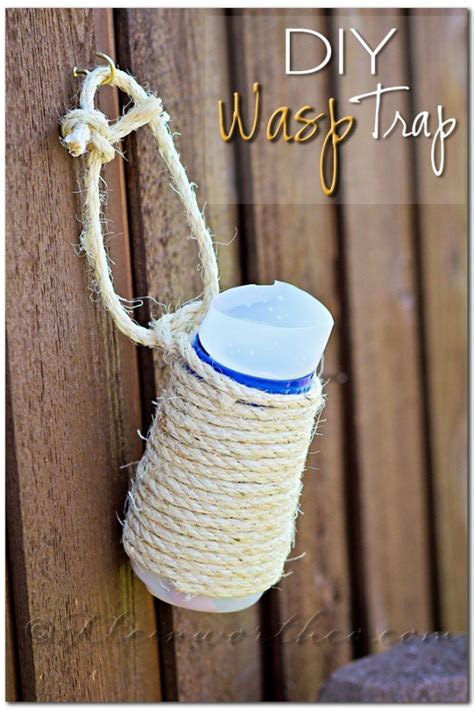 Wasp Control with DIY Wasp Trap - Yummi Haus