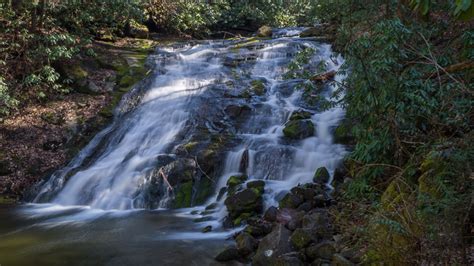 Meanderthals | Deep Creek Waterfalls, Great Smoky Mountains National Park