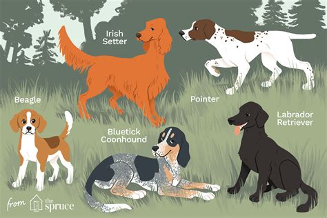 10 Best Dog Breeds for Hunting