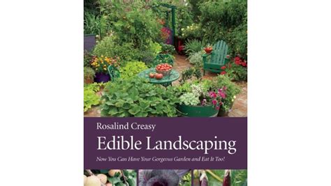 Top 5 Best DIY Landscaping Books